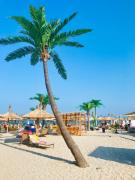 Top Mamaia Nord