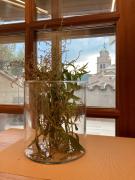 Top Santa Coloma de Farners