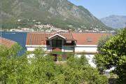 Top Kotor