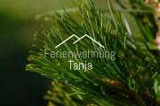 Ferienwohnung Tanja inklusive Sommercard