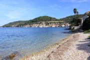 Top Vis