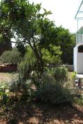 Top Gradac