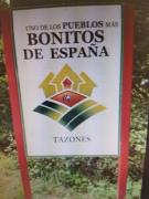 Top Tazones