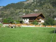 Top Dorfgastein