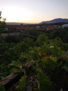 Top Lecrin Top Lecrin