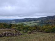 Top Bischofsheim an der Rhön
