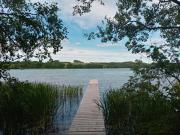 Top Supienie Top Supienie