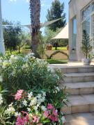 Top Torrevecchia Teatina