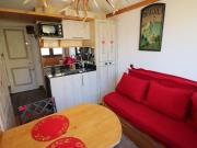 Studette pratique au pied des pistes - Animaux permis - FR-1-502-453