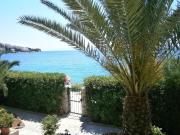 Top Trogir Top Trogir