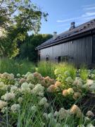 Top Kazimierz Dolny Top Kazimierz Dolny