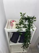 Top Bydgoszcz Top Bydgoszcz