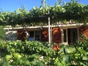 Secluded house with a parking space Podhumlje, Vis - 13984