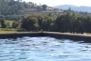 Top Fontoura