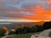 Top Lisciano Niccone