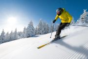 Top Park City