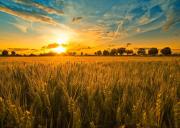 Top Spoleto Top Spoleto