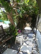 Top Paralimni