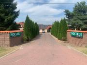 Top Orneta Top Orneta