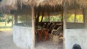 Top Mwanza