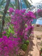 BLU RAITO costa dAmalfi