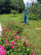 Top São Martinho do Porto