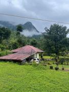 Top Vallikavungal