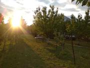 Top Podgorica