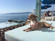 Top Crikvenica