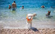 Top Crikvenica