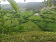 Top Cangas del Narcea