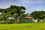 Top Placencia