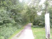 Top Höchst