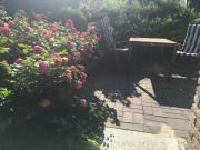 Top Friedrichskoog-Spitz