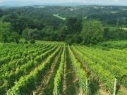 Top Zgornji Jakobski Dol