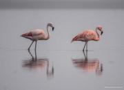 VagaMundo Hostel Carhue