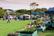 Top Port Elliot