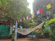 Top Varkala