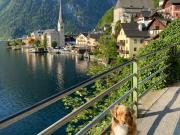 Top Hallstatt