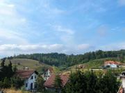 Apartman Stefan Zlatibor