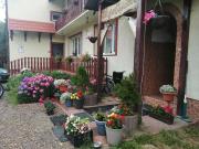 Top Ustrzyki Dolne Top Ustrzyki Dolne