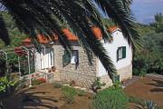 Seaside holiday house Postira, Brac - 13001