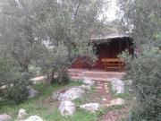 Secluded fishermans cottage Cove Komornik, Pasman - 14801