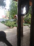 Top Svityazʼ