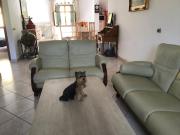 Rustic Tuscan retreat with vintage charm - Casa Tre Fontane