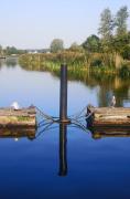Top Schleswig