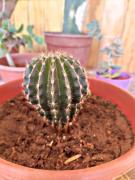 Top San Pedro de Atacama