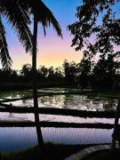 Top Ubud