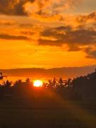 Top Ubud