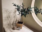 Top Puerto de Santiago